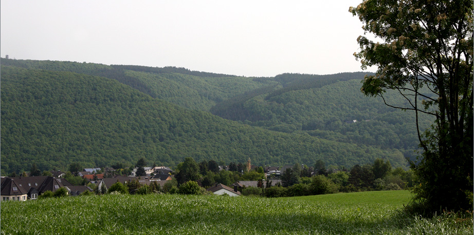 Blick über Gemünd