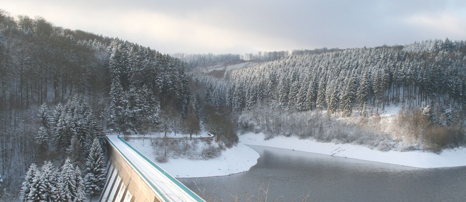 Stausee Nationalpark Eifel